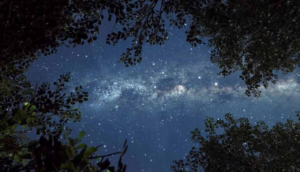 Le Perseidi pronte a regalare la magia delle notti delle stelle cadenti.