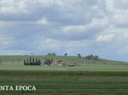 FRANCIGENA