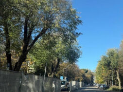viale-trento