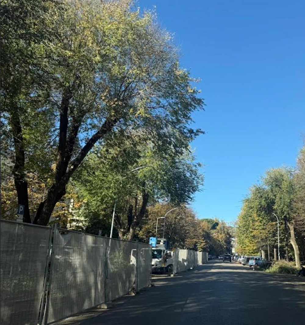 Viale Trento, asfaltatura e nuovi parcheggi, al via i lavori.