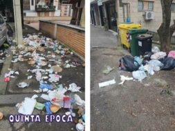 IMMONDIZIA-TREVISO-CINGHIALI