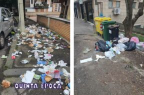 IMMONDIZIA-TREVISO-CINGHIALI