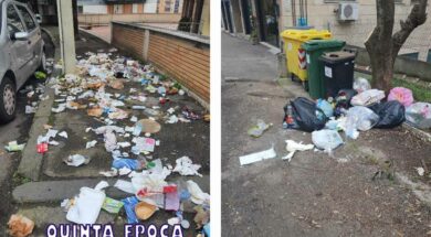 IMMONDIZIA-TREVISO-CINGHIALI