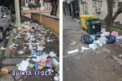IMMONDIZIA-TREVISO-CINGHIALI