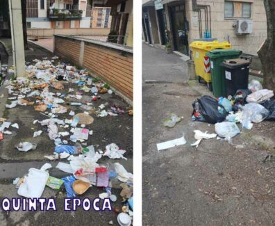 IMMONDIZIA-TREVISO-CINGHIALI
