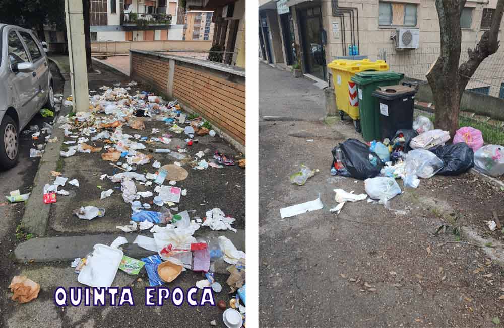 Via Treviso: cinghiali passeggiano e gozzovigliano nonostante il piano catture