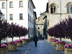 san-pellegrino-in-fiore-2026