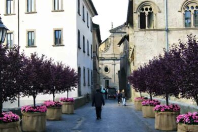 san-pellegrino-in-fiore-2026