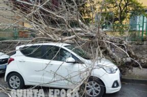 AUTO-PIAZZA-CRISPI-ALBERO