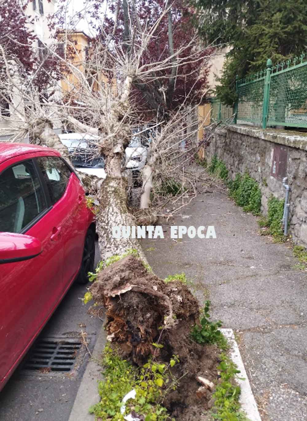 Tuscia battuta dal vento: 80 interventi dei vigili del fuoco.