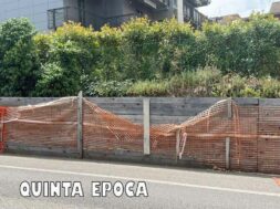 MURO-PILA4