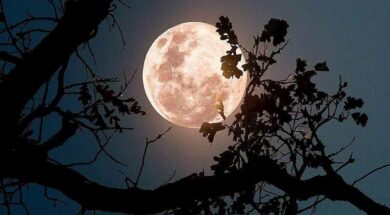 LUNA-FRAGOLE