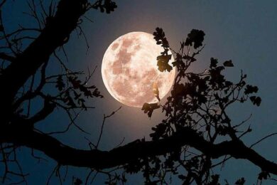 LUNA-FRAGOLE