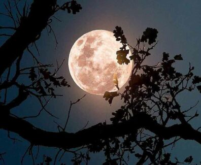 LUNA-FRAGOLE