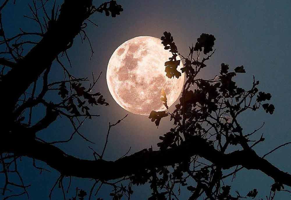 La Luna delle Fragole: primo plenilunio dell’estate.