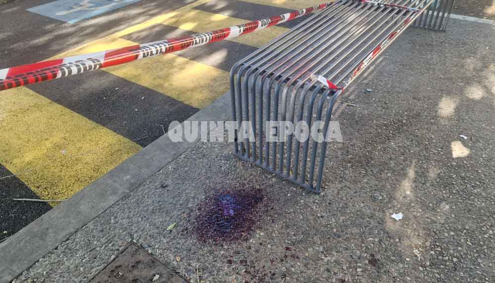 Viale Trento, uomo preso a bottigliate: i cittadini chiedono i presidi fissi