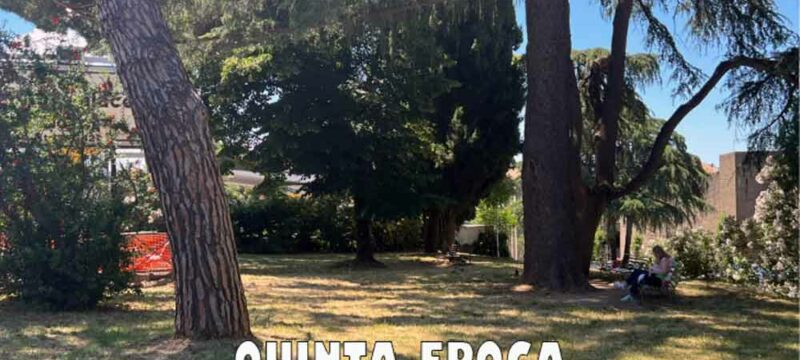 giardino-diaz-armando