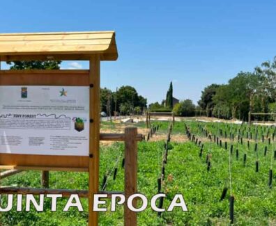 ALBERI-SECCHI