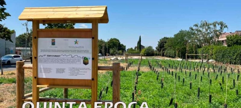ALBERI-SECCHI