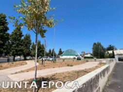 alberi-secchi-2