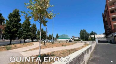 alberi-secchi-2