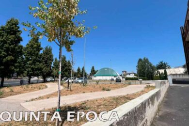 alberi-secchi-2
