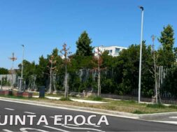alberi-secchi-3