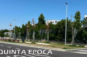 alberi-secchi-3