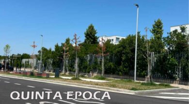 alberi-secchi-3