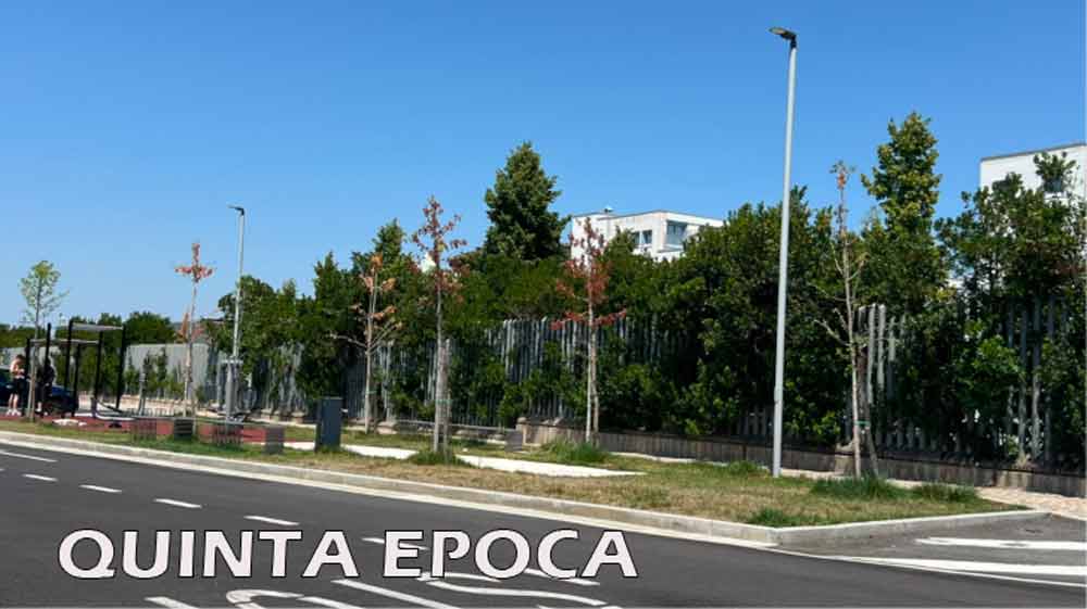 Partito il monitoraggio delle aree dove piantare nuovi alberi. Ripristinati i sistemi di irrigazione