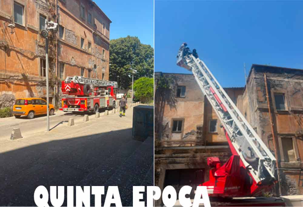 I vigili del fuoco salvano Nerina, la gatta rimasta intrappolata sui tetti